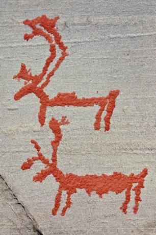 Alta Fjord severni jeleni Petroglyphs
