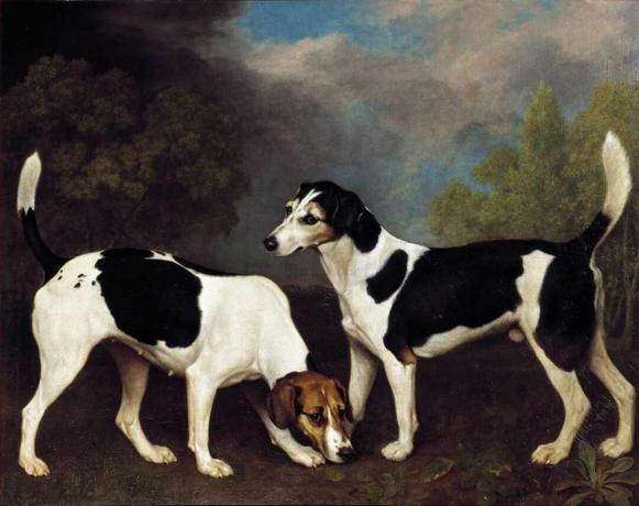 George stubbs nekaj foxhoundov