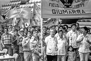 Na poti do Konvencije UFW