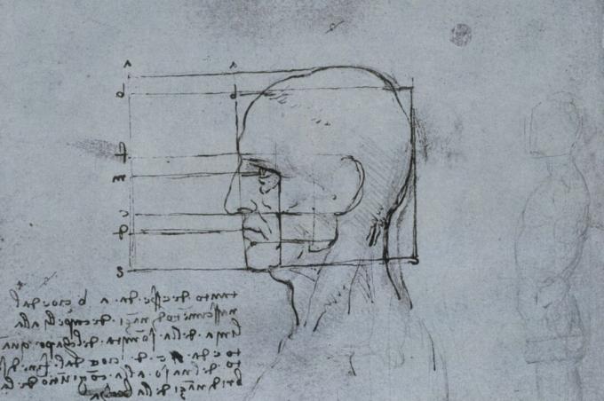 risba stranskega pogleda moške glave s črtami v grafskih razmerjih in italijanskim pisanjem v zvezku