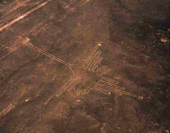 Zračni pogled geoglifa hummingbird, proge Nazca