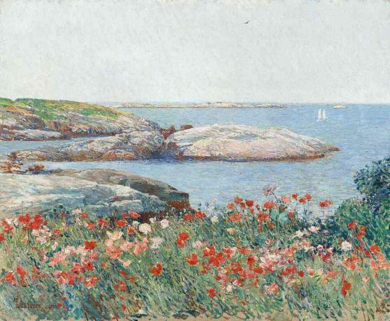 Childe Hassam makovi otoki z drobnjaki