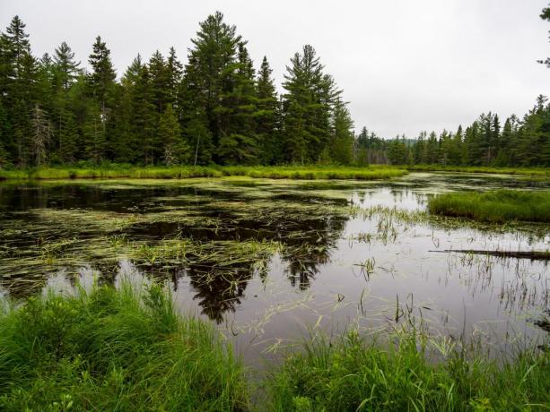 Državni spomenik Gozd in Vode Katahdin