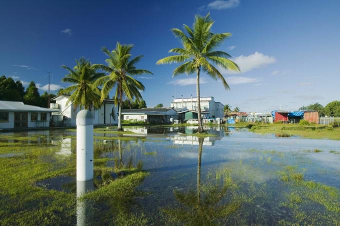 Tuvalu - narod, ki se utaplja