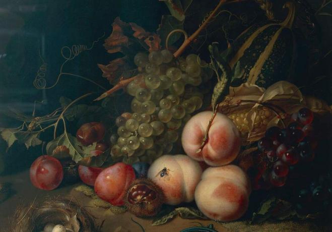 Comp Save to Board Italija, Firence, Tihožitje s sadjem in žuželkami Rachel Ruysch, 1711, olje na platnu, detajl