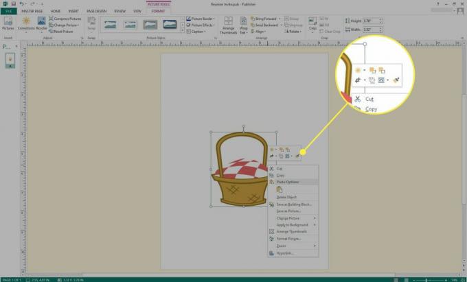 Posnetek zaslona programa Microsoft Publisher z označenimi možnostmi slik