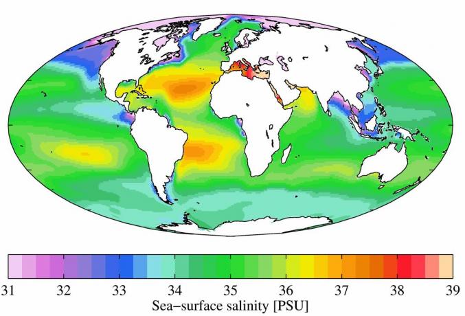 Letna povprečna slanost morske površine iz atlasa Svetovnega oceana 2009. Slanost je navedena v praktičnih enotah slanosti (PSU).
