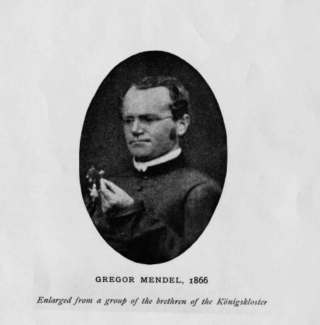 Avstrijski botanik Gregor Mendel