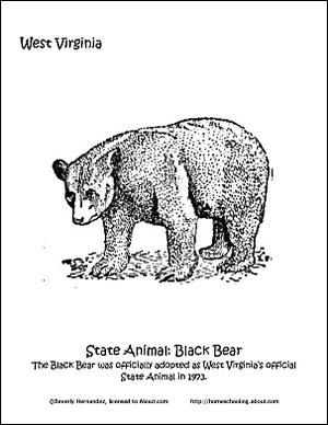 Črni medved zahodne Virginije.