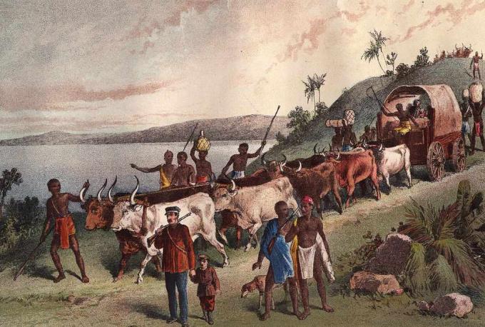 približno 1855: prihod britanskega raziskovalca Davida Livingstona in zabava ob jezeru Ngami.
