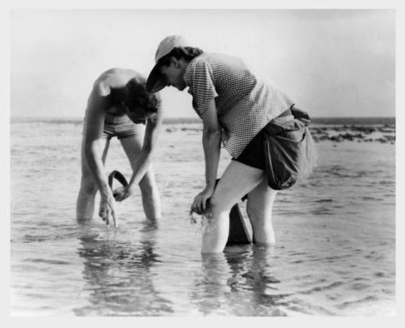 Rachel Carson in Bob Hines sta na Floridi izvajala raziskave morske biologije