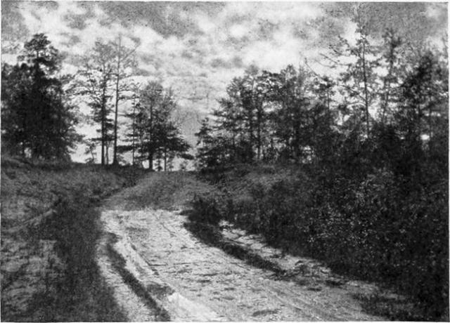 Kraj, kjer je bil ujet Aaron Burr, blizu Wakefielda v Alabami.
