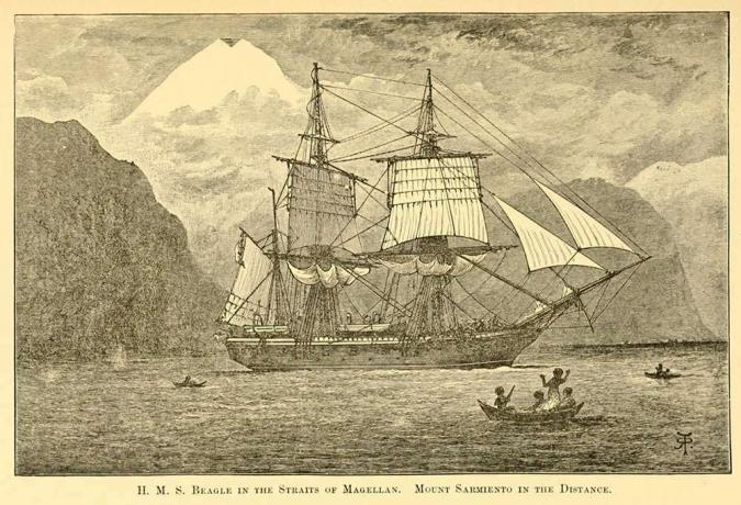 H.M.S. Beagle v ožini Magellan