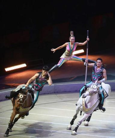 Nastopajoči med cirkuško predstavo v živo, ženska se balansira med moškimi, ki jahajo konje.