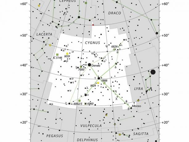 Ozvezdje Laboda Cygnus.